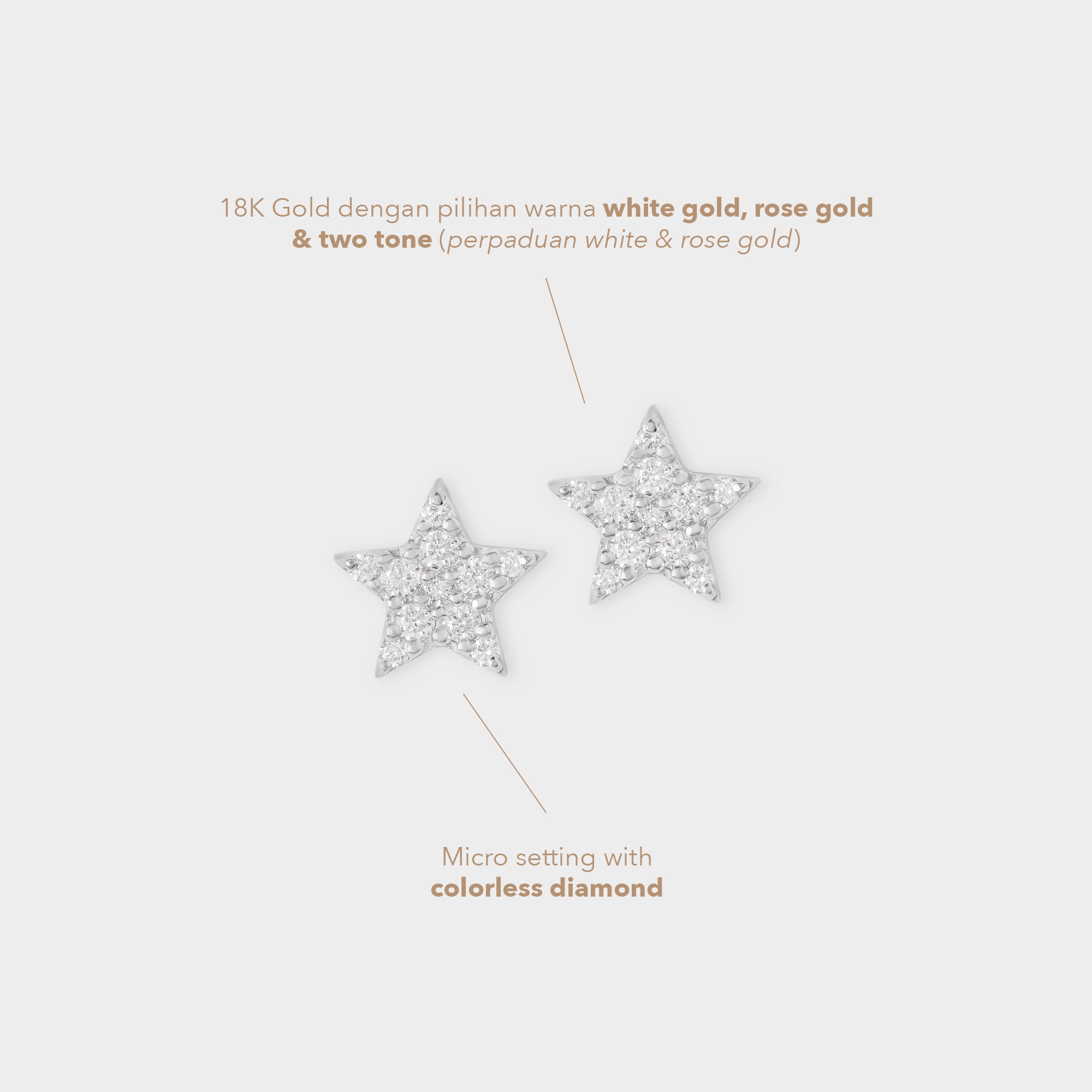 Earrings Bintang