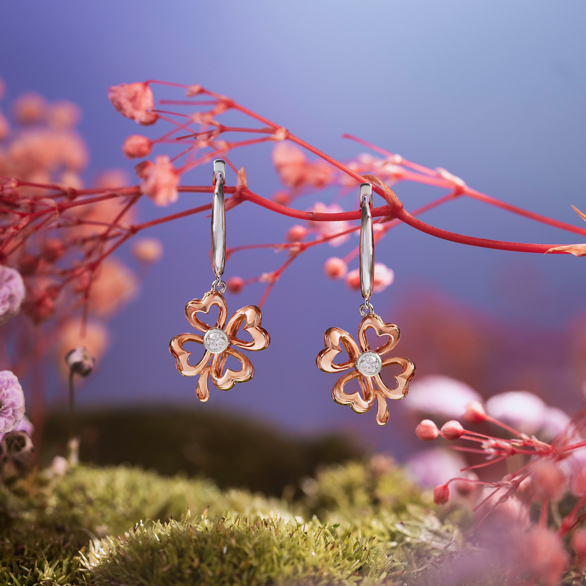 Earrings Clover Pink Era Hoop