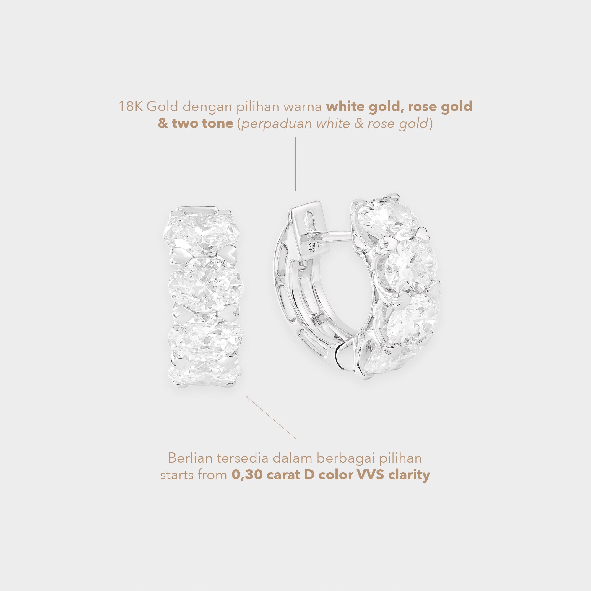 Earrings Electa