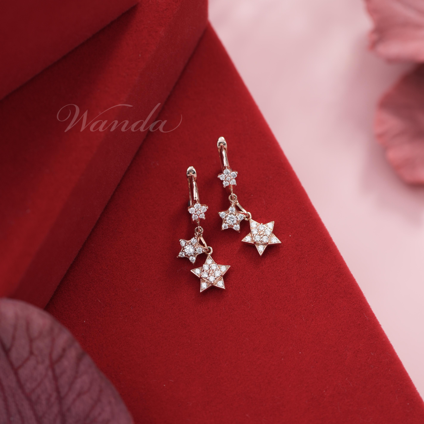 Earrings Hoop Bintang